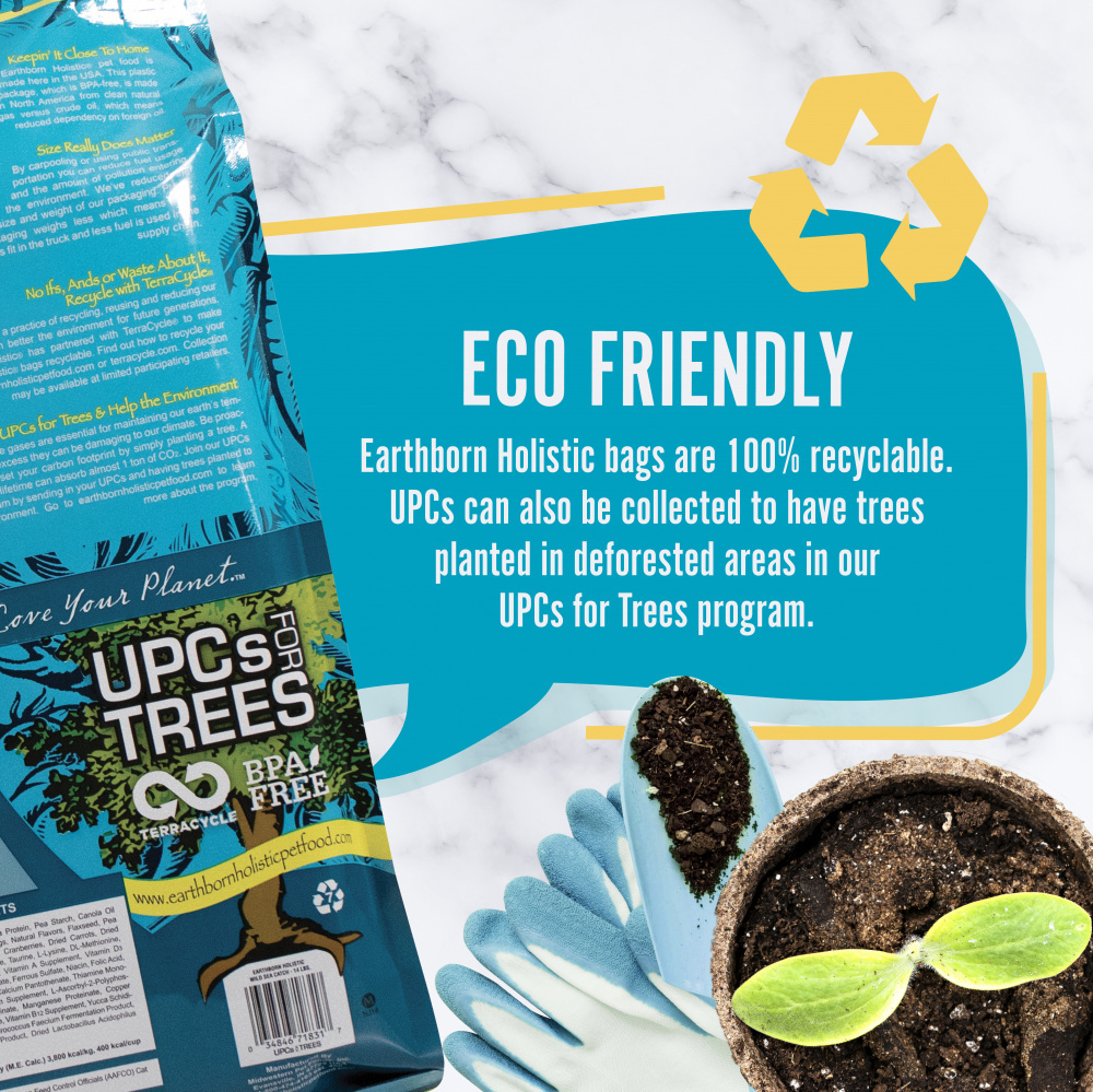 Earthborn Holistic Wild Sea Catch Grain Free Natural Cat Food