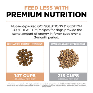 Petcurean Now! Fresh Grain Free Senior Dry Dog Food