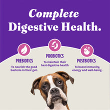 Halo Holistic Complete Digestive Health Grain Free Turkey and Sweet Potato Dog Food Recipe Adult Dry Dog Food